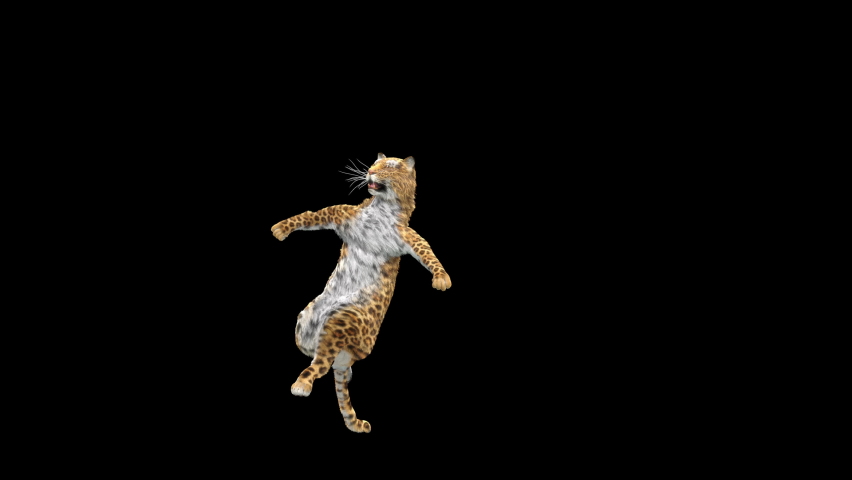 Tiger Dancing, 3d rendering, animal realistic, cartoon, Animation Loop,  Included in the end of the clip With Luma Matte.
 | Shutterstock HD Video #1063245208