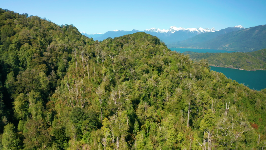 Aerial landscape over the Reloncavi estuary, showing green forests and snow peaked mountains, bright sunny day.