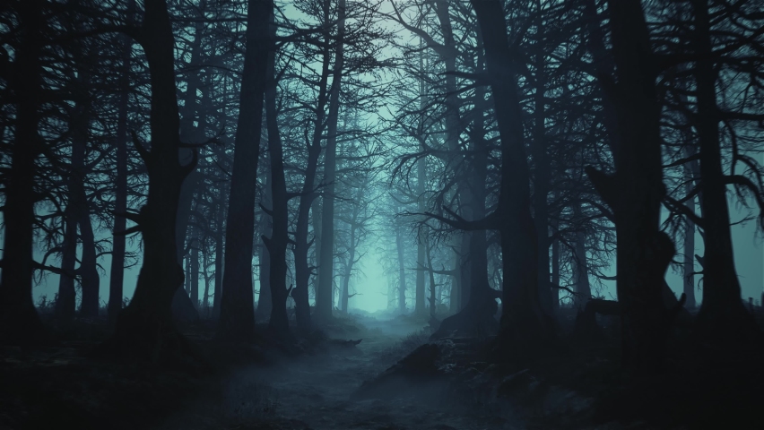 Looped animation of flying through a scary forest Royalty-Free Stock Footage #1063253044