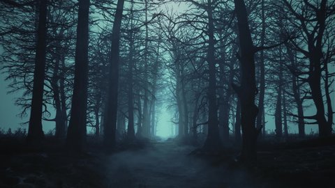 Looped animation of flying through a scary forest