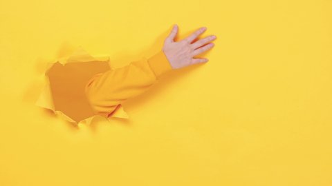 Woman hand arm try to find something isolated through torn yellow wall orange background studio. Copy space advertisement place for text or image promotional content Advertising area workspace mock up