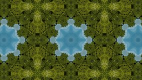 Motion kaleidoscopic background with looped ornamental animation.