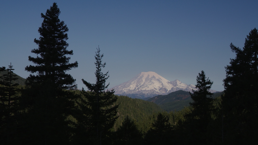 Silhouette of trees framing distant mountain with snow . Packwood, Washington, United States