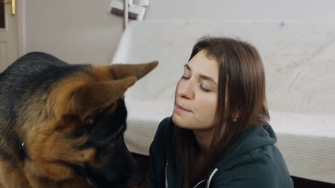 Smiling young woman spends free time with her dog at home. Young woman sits on the floor in her apartment with a dog, German shepherd, the dog licks the mistress