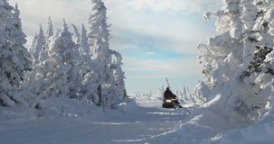 Snowmobile rides through the pine forest in slow motion. Russia.