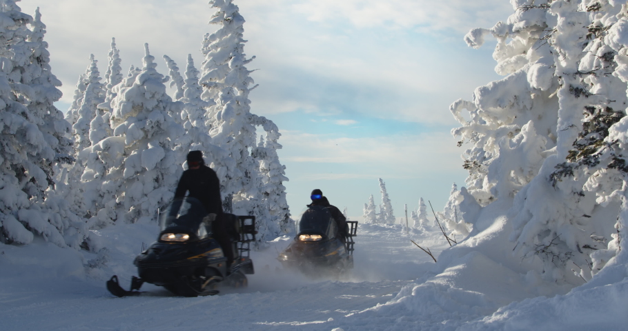 Snowmobile rides through the pine forest in slow motion. Russia. | Shutterstock HD Video #1063270672