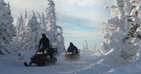 Snowmobile rides through the pine forest in slow motion. Russia.