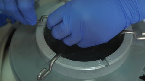 Frozen stem cells in containers removed from a nitrogen barrel