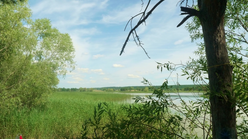 View of blue sky with white clouds and river bank with green grass and trees. Sunny summer afternoon.