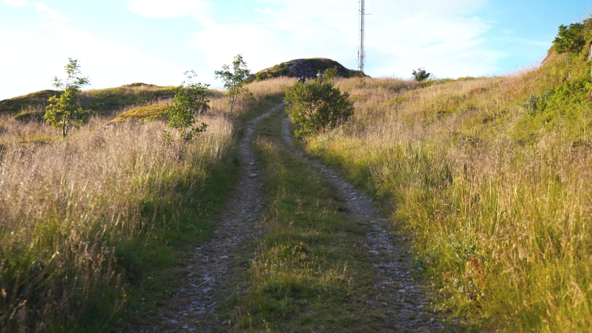 hiking on trail up peaceful lush high elevation green forest with sun flares tracking shot from behind