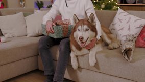 Happy attractive young man sitting on sofa with dog hold gift on background Christmas decorations. Portrait pet animal happy. Christmas time. Slow motion