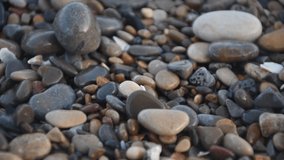 High quality video. Image of stones on the beach.