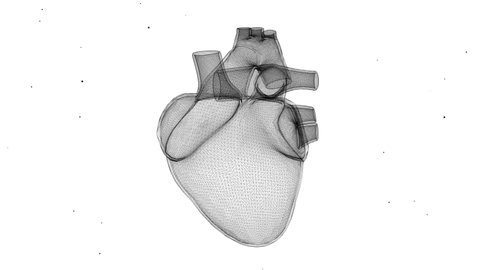 4k video of digital illustration of heart on white background.