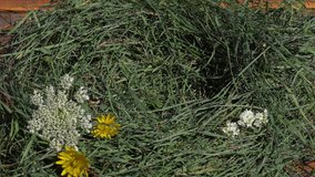 Closeup view video of beautiful decorative green nest. Several fresh wild flowers and dry green grass isolated on brown wooden surface. Easter background.