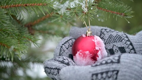 Red Christmas Tree Ball Hanging Stock Footage Video 100 Royalty Free 8979433 Shutterstock