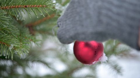 Women's hands in mittens hang Christmas decorations on a spruce branch. Snowy New Year tree. Merry cristmas