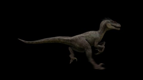 Isolated dinosaur raptor run in loop with alpha background
Jurassic park predator animal walk in seamless loop  3d animation.
you can change the background