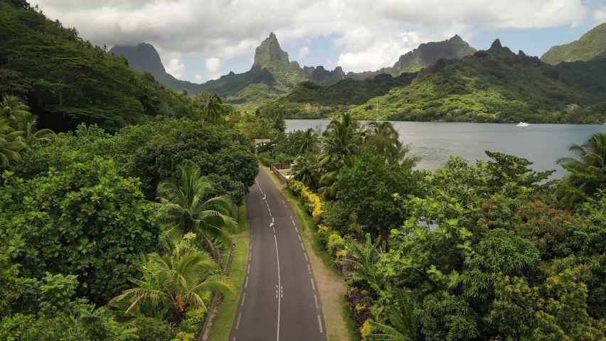 Aerial 4k view Tahiti : Rental car driving in coastal tropical forest in Moorea, French Polynesia. Mountain landscape, beautiful nature. Exotic travel vacation getaway, romantic honeymoon destination. Royalty-Free Stock Footage #1063315693