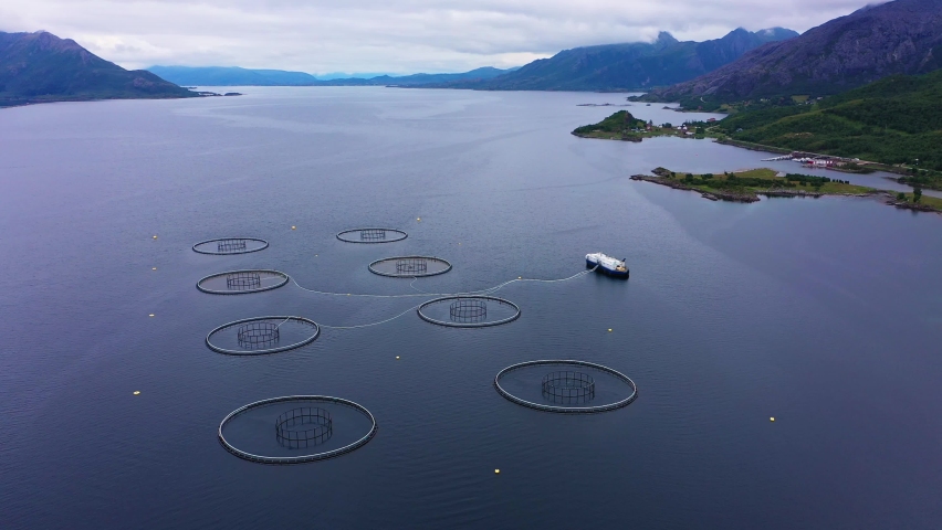 Aerial view of fish farm boat at a Aquaculture of salmonids hatchery, cloudy day- pull back, drone shot Royalty-Free Stock Footage #1063334512