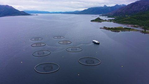 Aerial view of fish farm boat at a Aquaculture of salmonids hatchery, cloudy day- pull back, drone shot