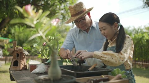 Asian grandpa with child girl planting young tree in the black soil and watering it together in the garden. Two happy family gardening together and taking care of nature. People and ecology concept.