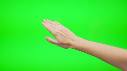 The Girl Waves Bye Goodbye Hello on a Green Background, Green Screen, Chromakey, Alpha Channel. The Girl's Hand is Isolated on Green. Human Gestures.
