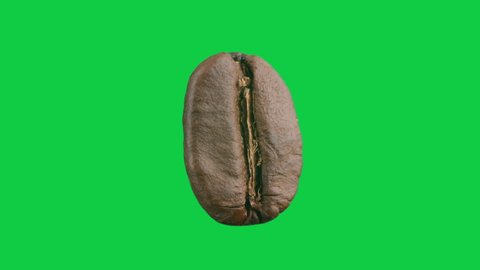 macro shots macro of one coffee bean rotating isolated on green screen background, Green screen Chroma key