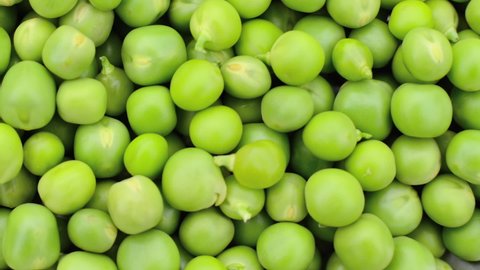Dolly shot over heap of fresh, organic, green peas (Pisum sativum)