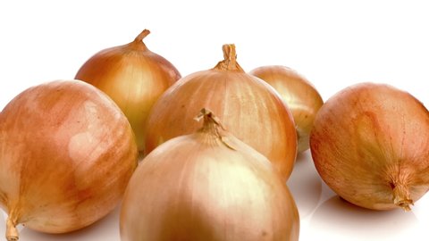 onion group isolated on white