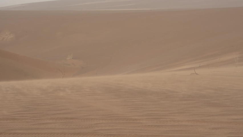 Hand held shot from the wind moving sands around in a stormy day with some plants and sand dunes in frame in dasht e lut or sahara desert. Sand blowing over sand dunes in wind | Shutterstock HD Video #1063379455
