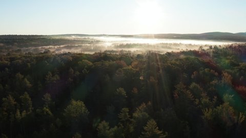 High Aerial Drone Footage overlooking treeline, Maine, USA on a foggy day
