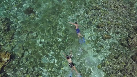 Drone shot of two people who snorkel and swim in transparent crystal clear water in caribbean watching beautiful rocks and corals on seabed. Couple snorkeling and swimming in see through sea