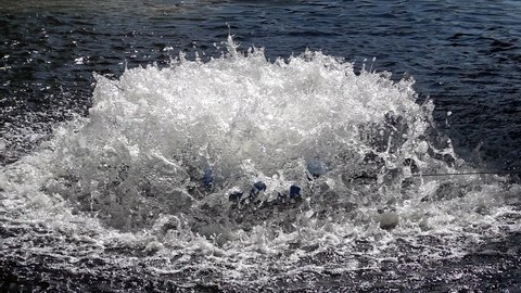 Slow motion picture of an aeration system in a lake, which should increase the oxygen content of the water, close-up