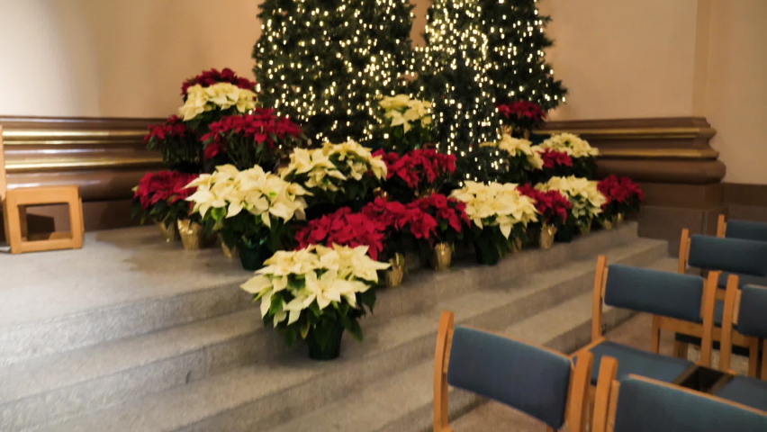 Christmas Trees and Flower Decoration in Interopr of Catholic Church Slow Motion . Saints Paul and Peter Cathedral, Indianapolis USA