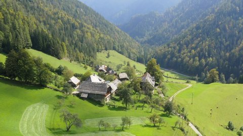 Fly over picturesque mountain chalets. Green Alps nature.