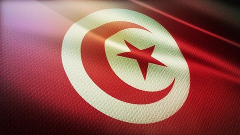 waving flag of Tunisia with fabric pattern