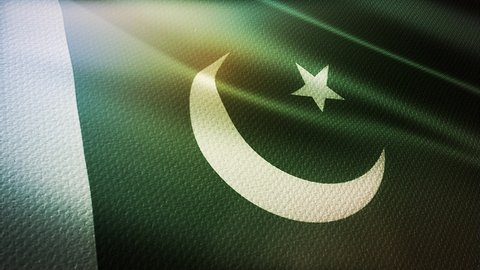 fabric pattern waving Pakistan
flag of