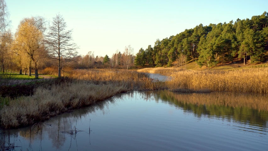 Beautiful autumn Finland nature landscape. Lake, river, swamps, mixed forest, green spruces and yellow regular trees