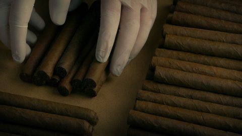 Cigar Maker Sorting Cigars On Table