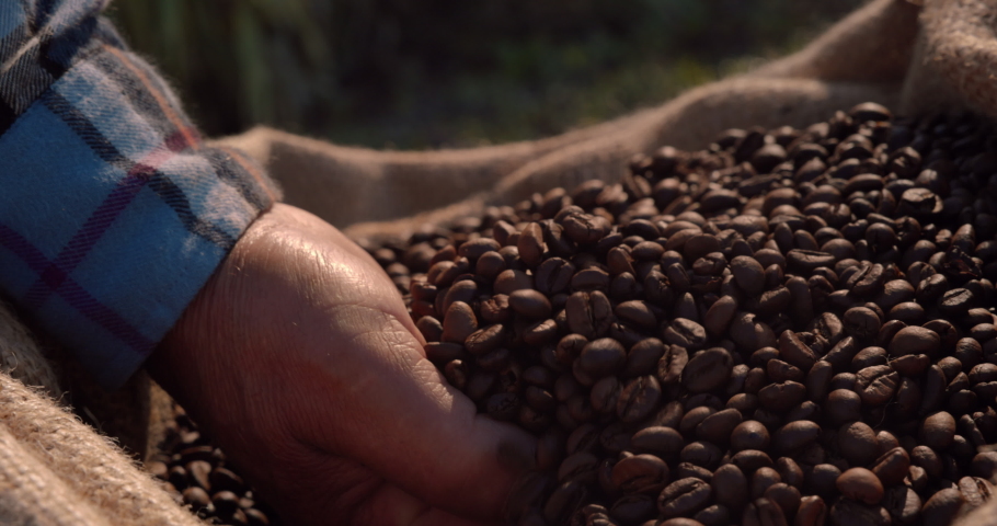 Hand of farmer checking roasted coffee beans on sack Royalty-Free Stock Footage #1063451110