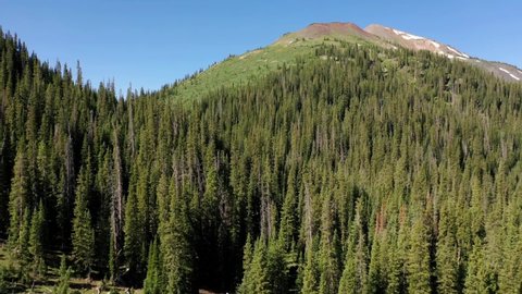 High definition aerial video of drone flying over mountain forest in Colorado, USA.