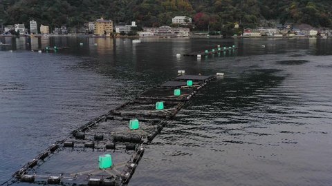 Aquaculture cages in fishing port. Aerial view.