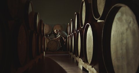 4K Worker in wine , whiskey or brandy warehouse sorting and rotating barrel . Two winemakers in vintage , traditional wine factory rolls barrel . Shot on ARRI ALEXA Cinema Camera in Slow Motion .