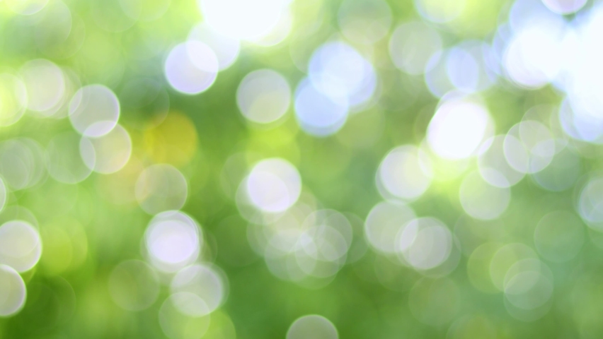 Blur bokeh light background .Summer concept of abstract nature blurred background. Sun breaking through  leaves blurred bokeh background.