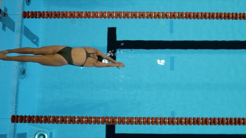 Slow motion shot of a woman jumps into indoor swimming pool to start training. View from above.