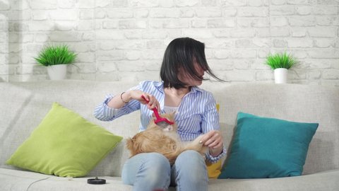 young woman combs a cat's long fur and sneezes from an allergy to wool