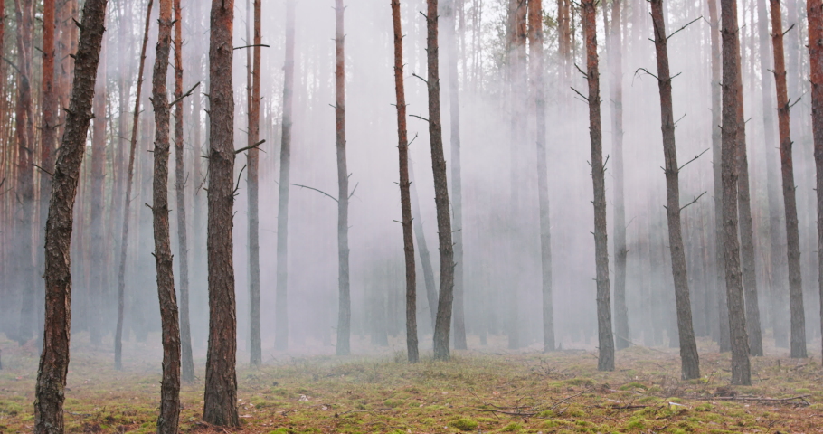 Fully Equipped Soldiers Wearing Camouflage Uniform Attacking Enemy, Rifles in Firing Position. Military Operation in Action, Squad Running in Formation Through Dense Forest at Midday.