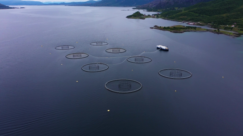 Salmon aquaculture is the fastest growing food production system in the world - Aerial drone view of a arctic Fish farm, in North Norway Royalty-Free Stock Footage #1063510414