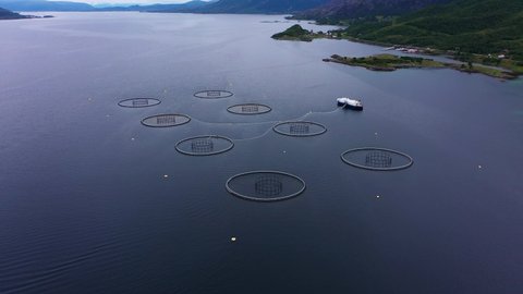 Salmon aquaculture is the fastest growing food production system in the world - Aerial drone view of a arctic Fish farm, in North Norway