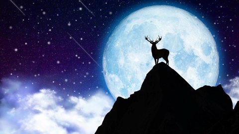 Beautiful moon and shooting stars, Night fantasy, Loop animation background.